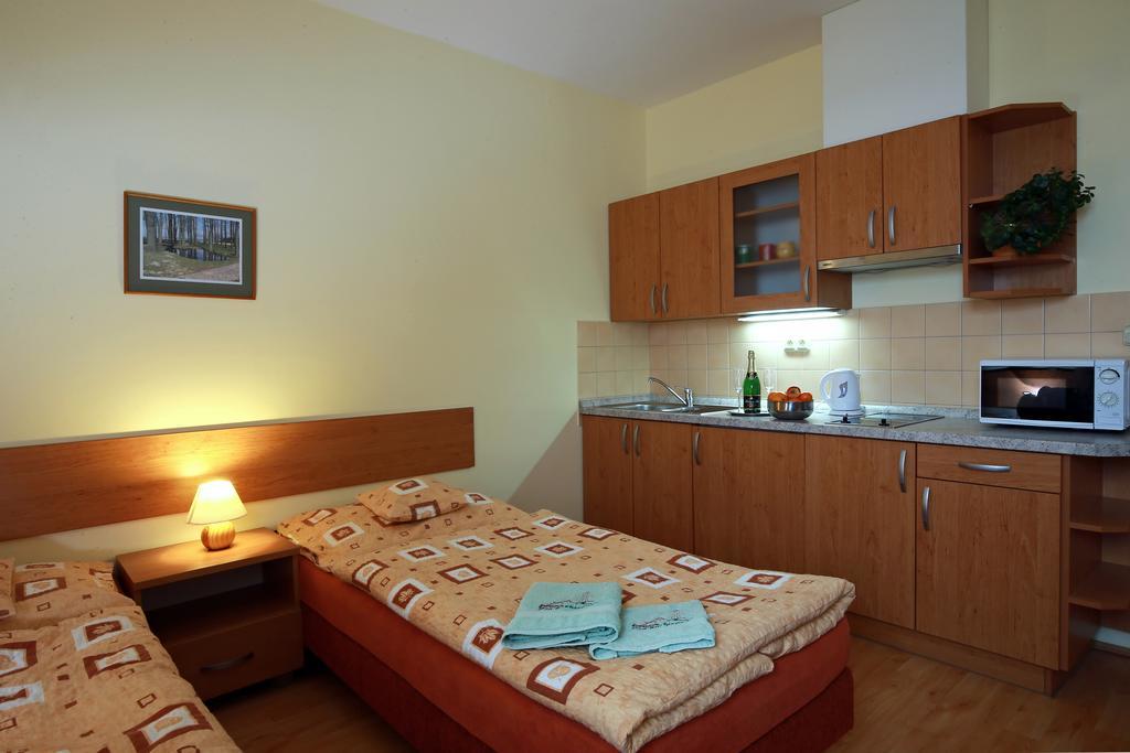Wellness Penzion Pod Rozhlednou Kostelec nad Orlici Bilik gambar
