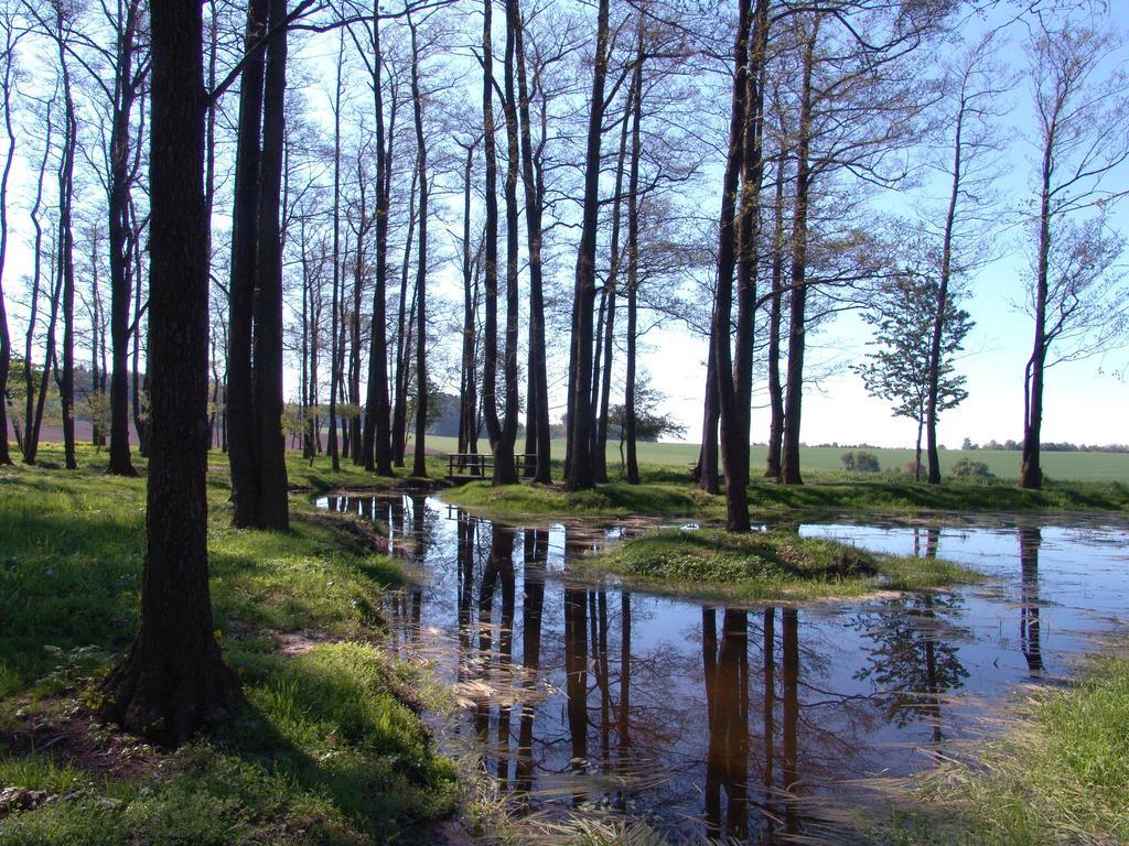 Wellness Penzion Pod Rozhlednou Kostelec nad Orlici Luaran gambar